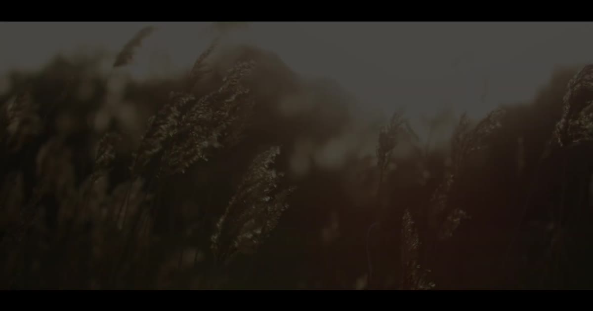 Community Video Thumbnail